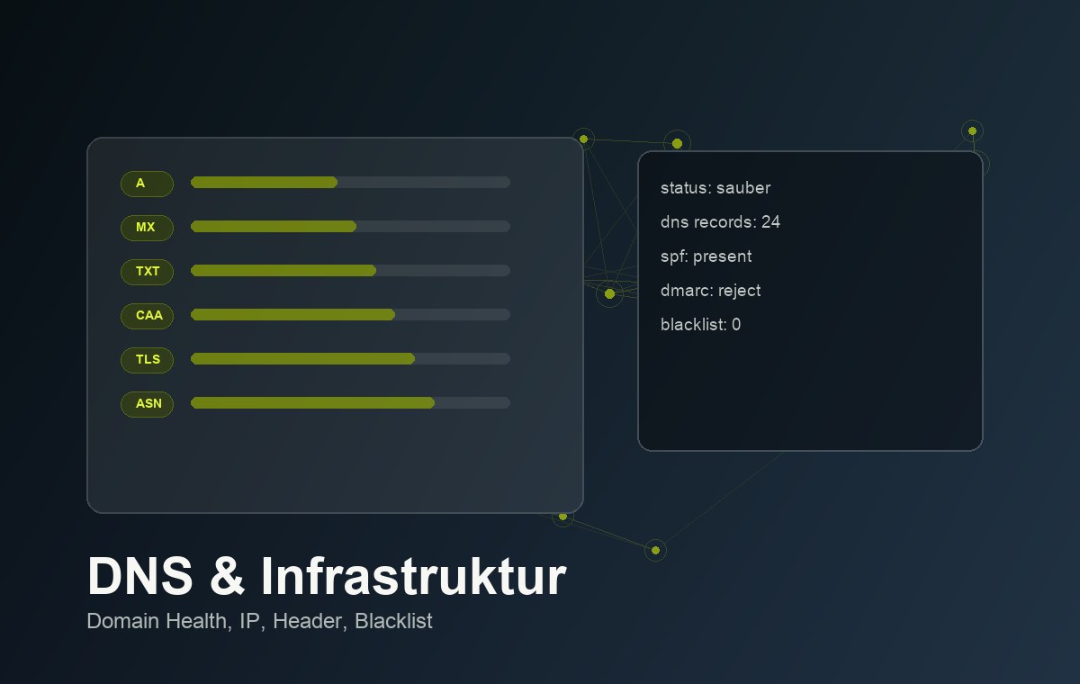 Domain und DNS Check Dashboard